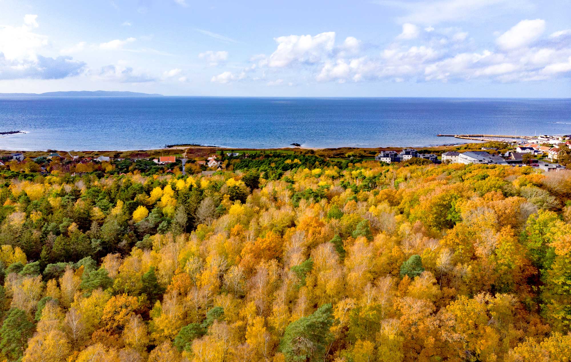 Autumn in Vejbystrand
