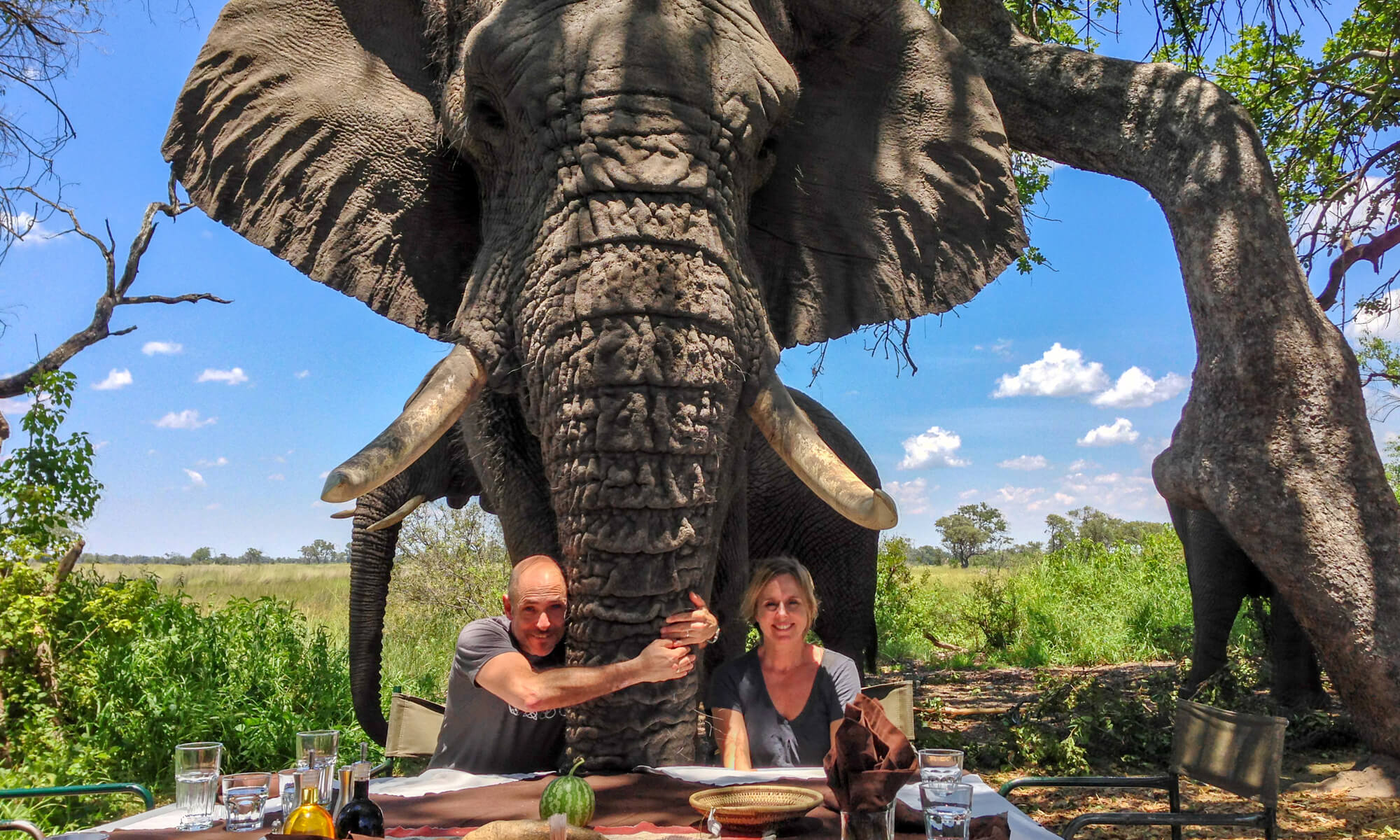 Elephant Hug Botswana