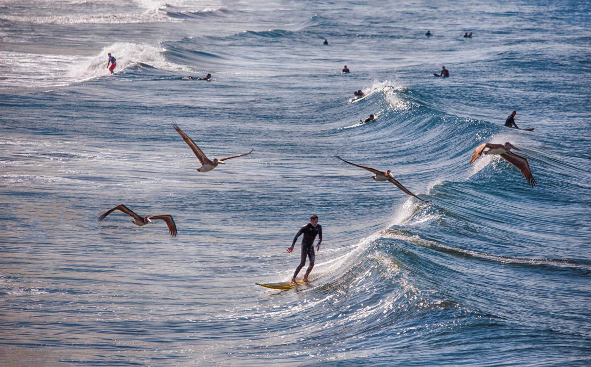 California Surfers