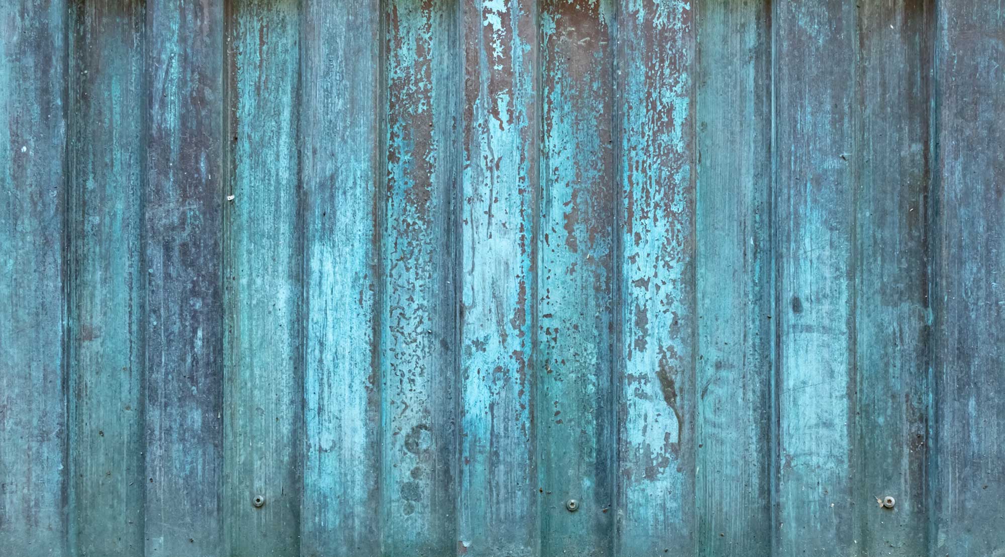 The Wall