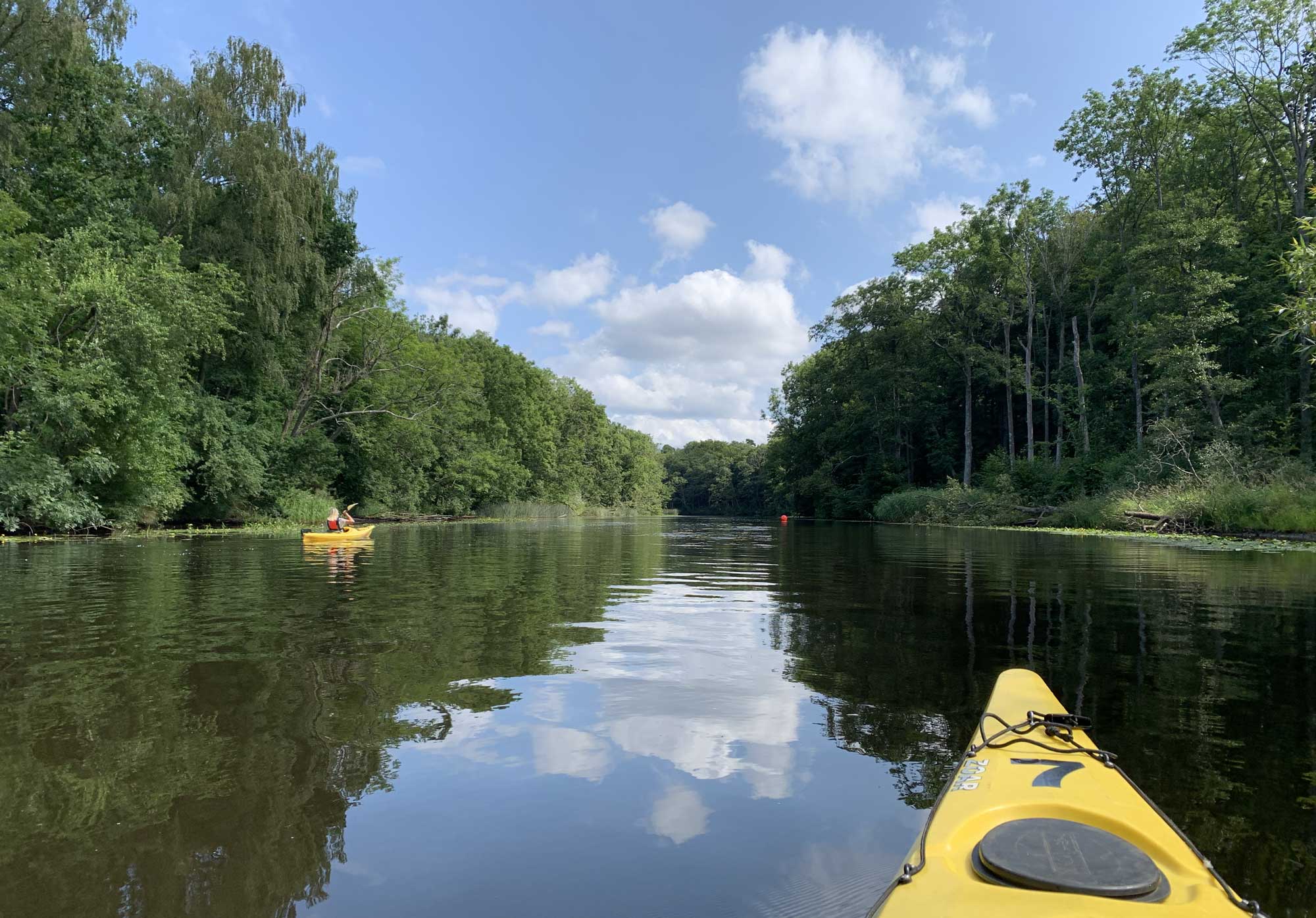 Kayaking down Rönne Å