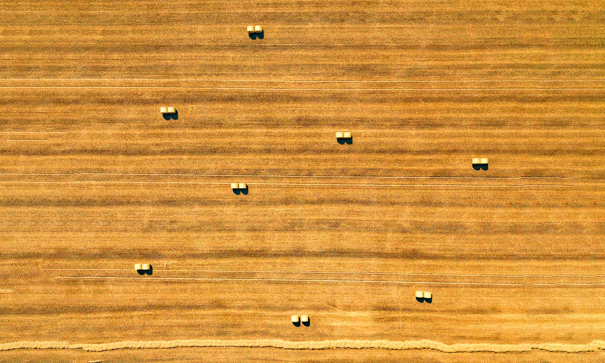 Swedish hay bales