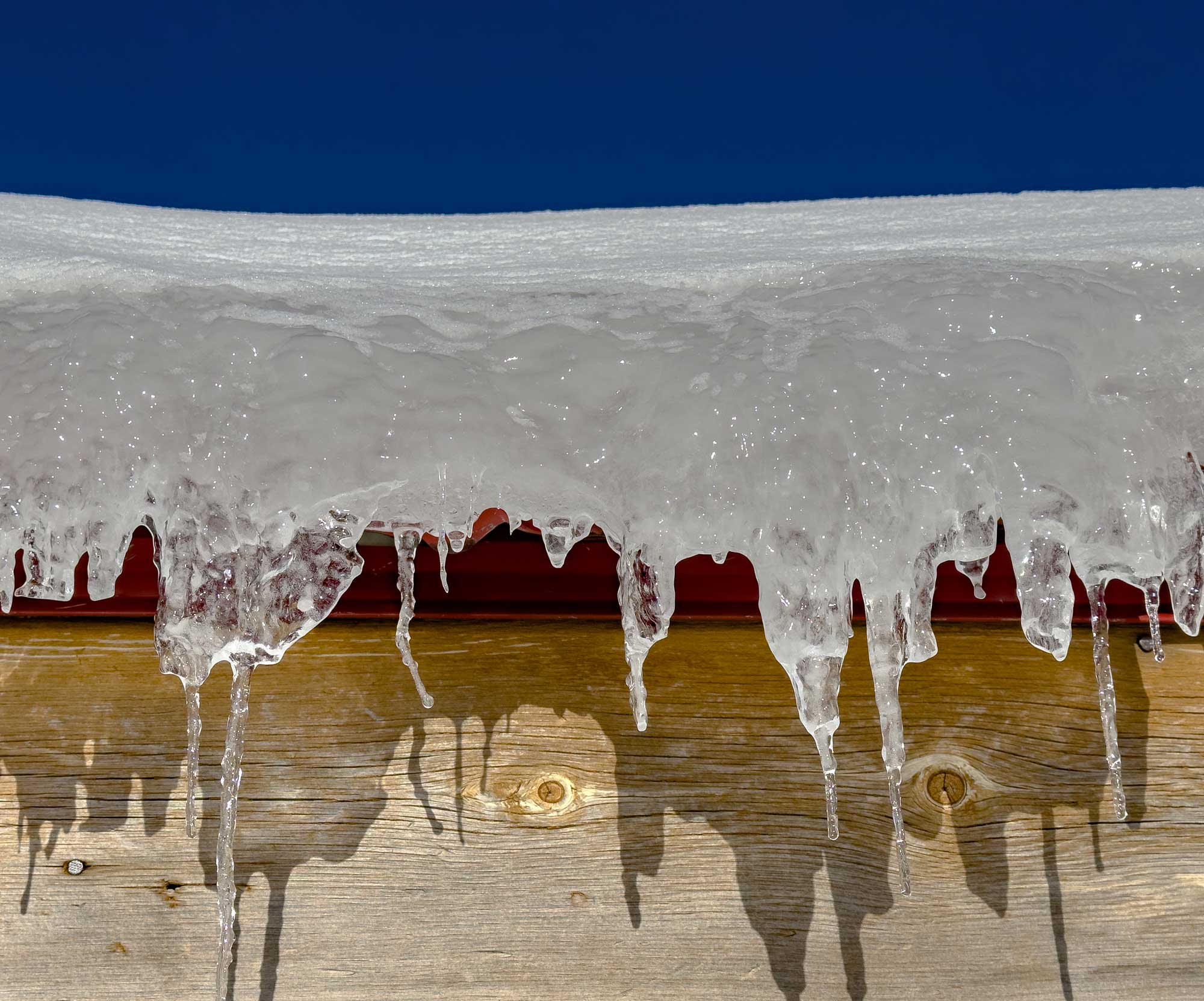 icicles