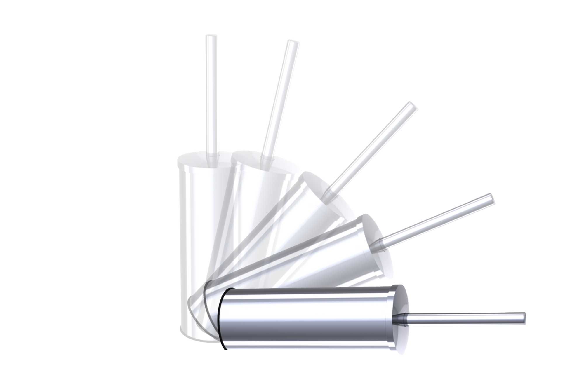 Encouter with a Toilet Brush