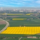 Aerial view of canola fields in southern Sweden