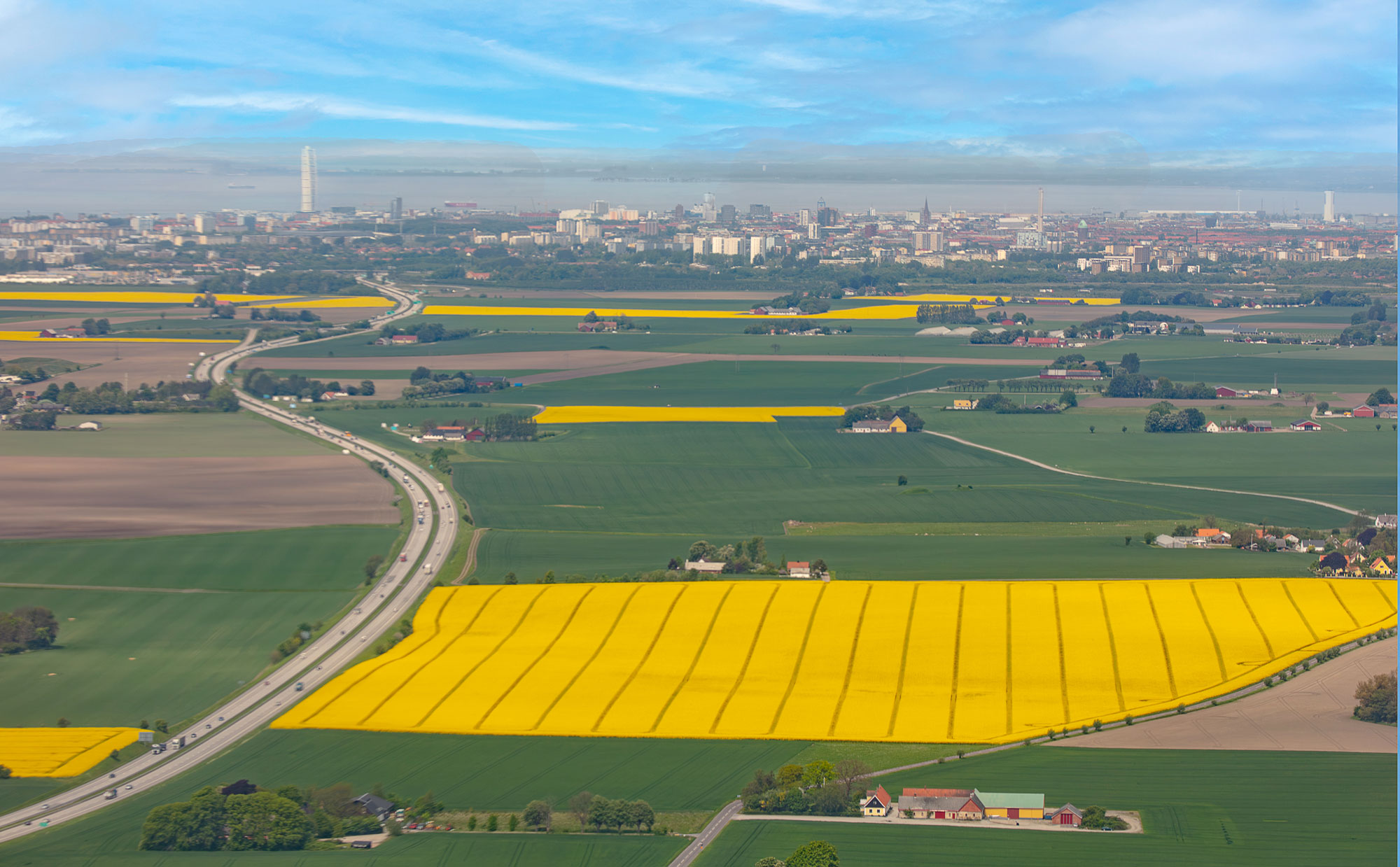 Aerial view of canola fields in southern Sweden