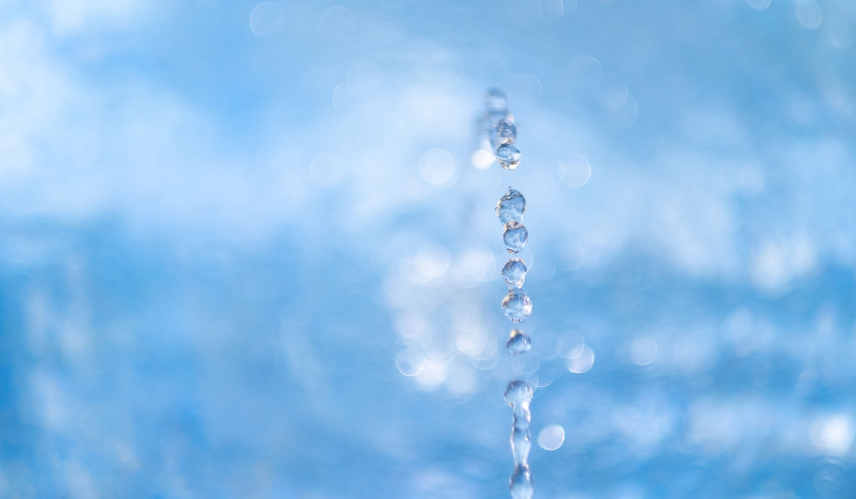Fountain of Youth