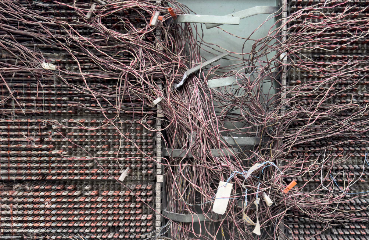 Brain Wiring