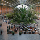 Madrid’s Estación de Atocha