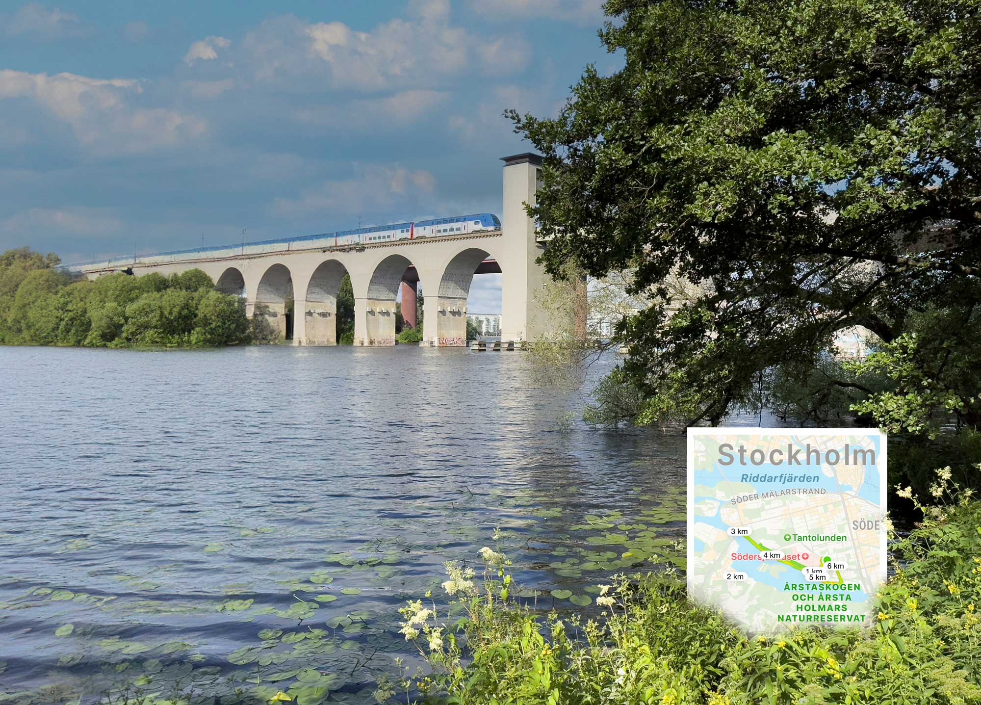 Stockholm's Söder