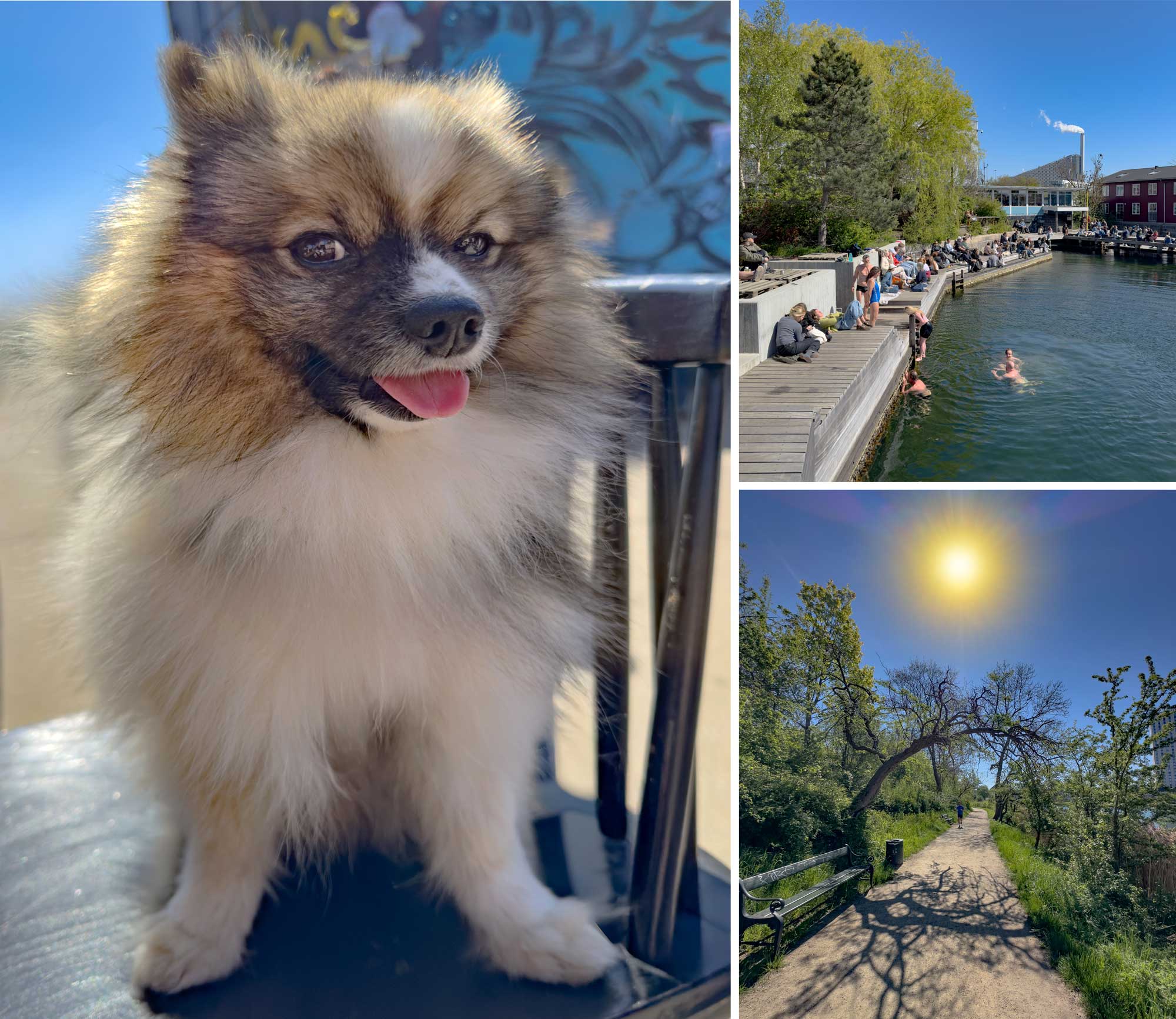 A Day in Wonderful Copenhagen