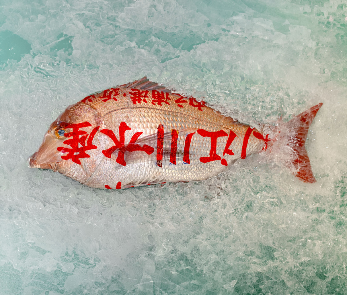 Fish Market Tsukiji in Tokyo Japan