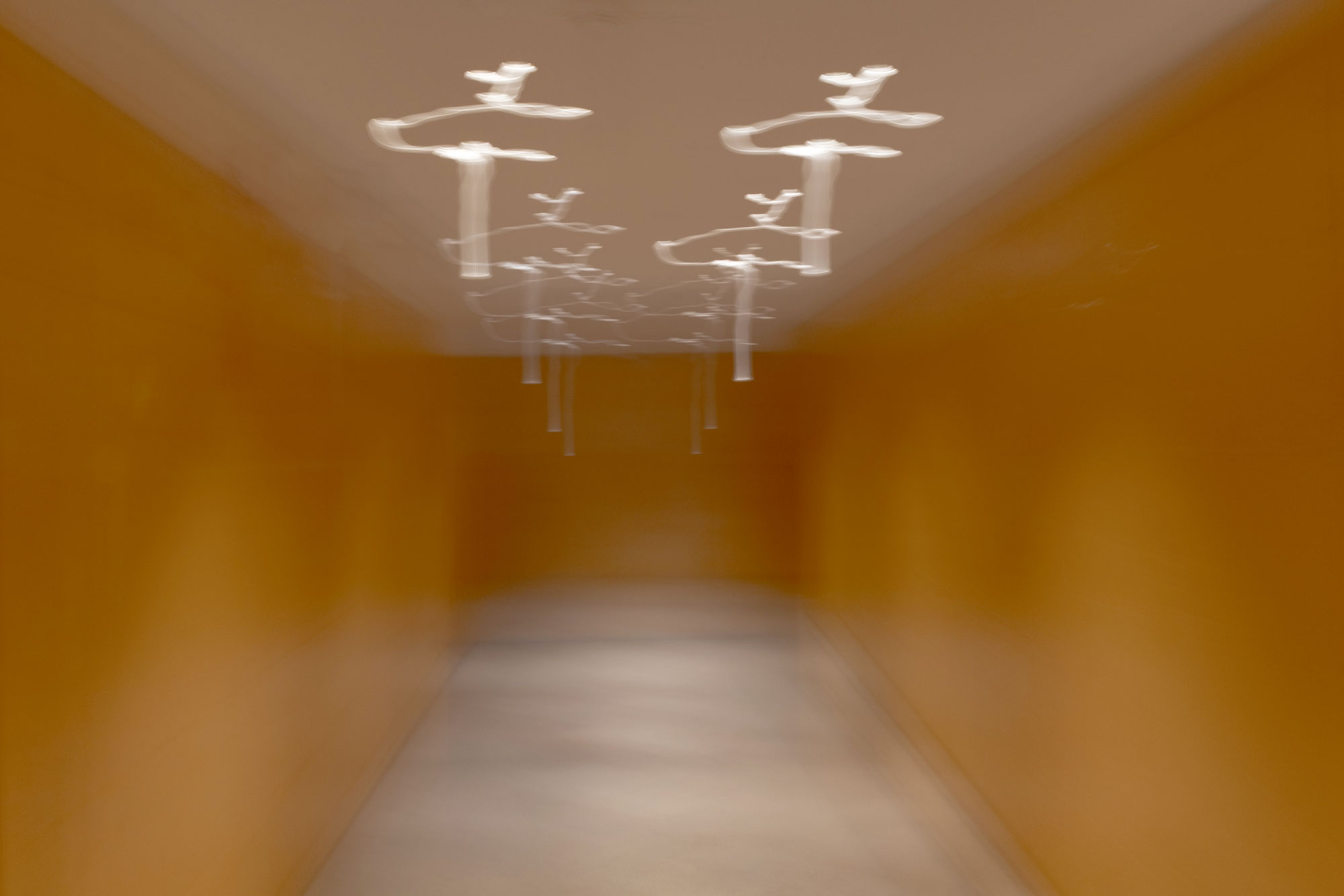 Intentional Camera Movement