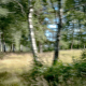 time flying by an ICM by Joakim Lloyd Raboff