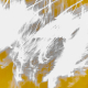 Yellow He Yelled