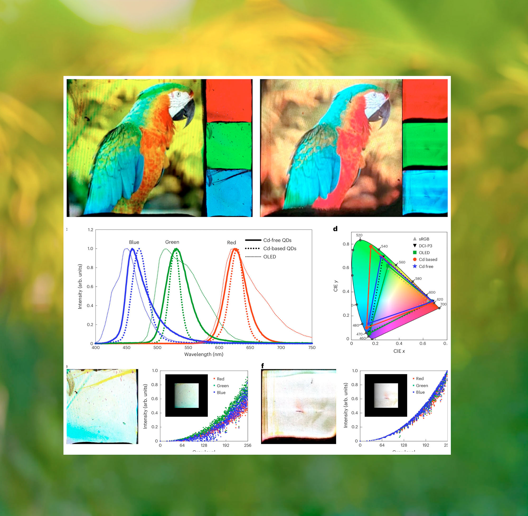 parrot from maui published in nature magazine