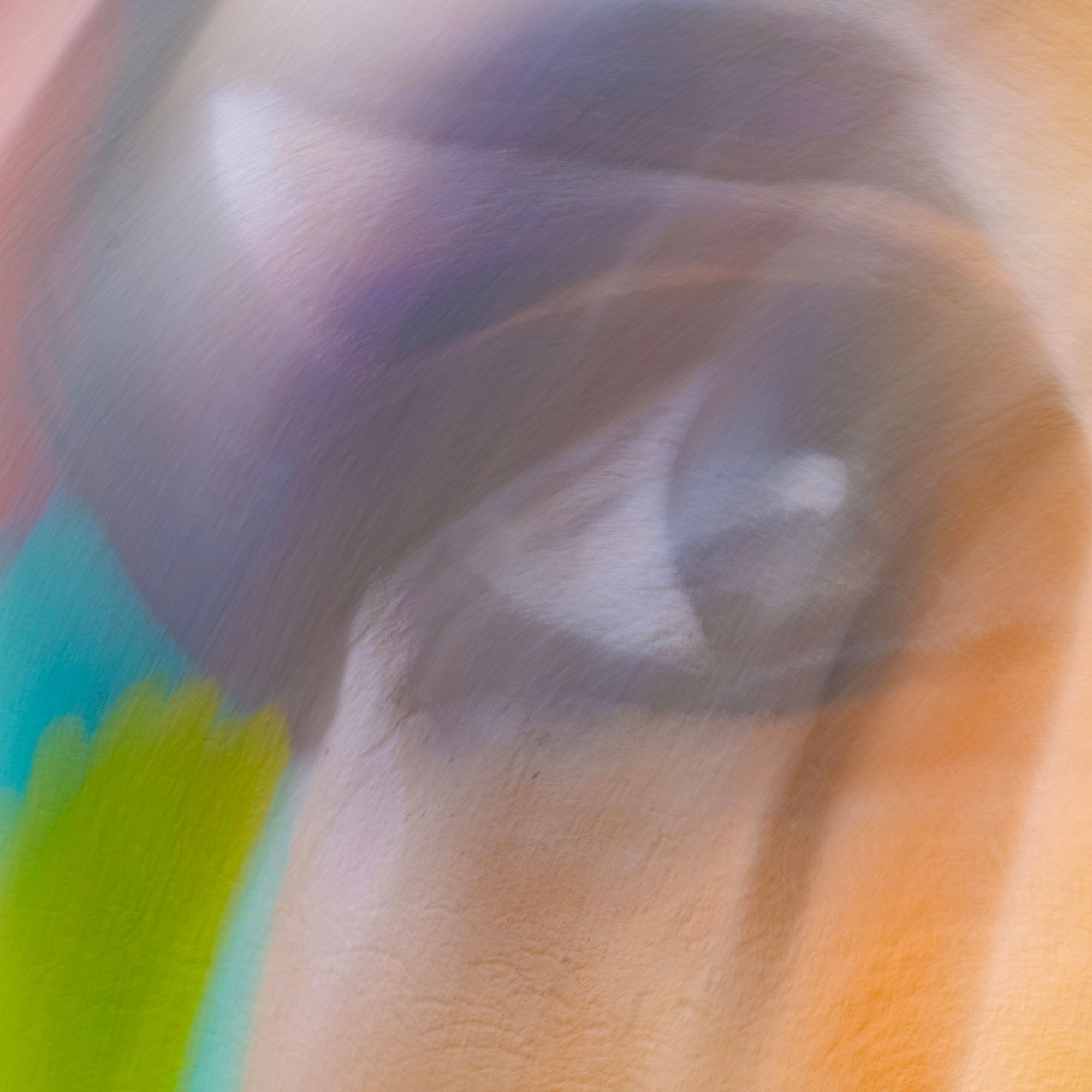 joakim lloyd raboff artwork eyeconic