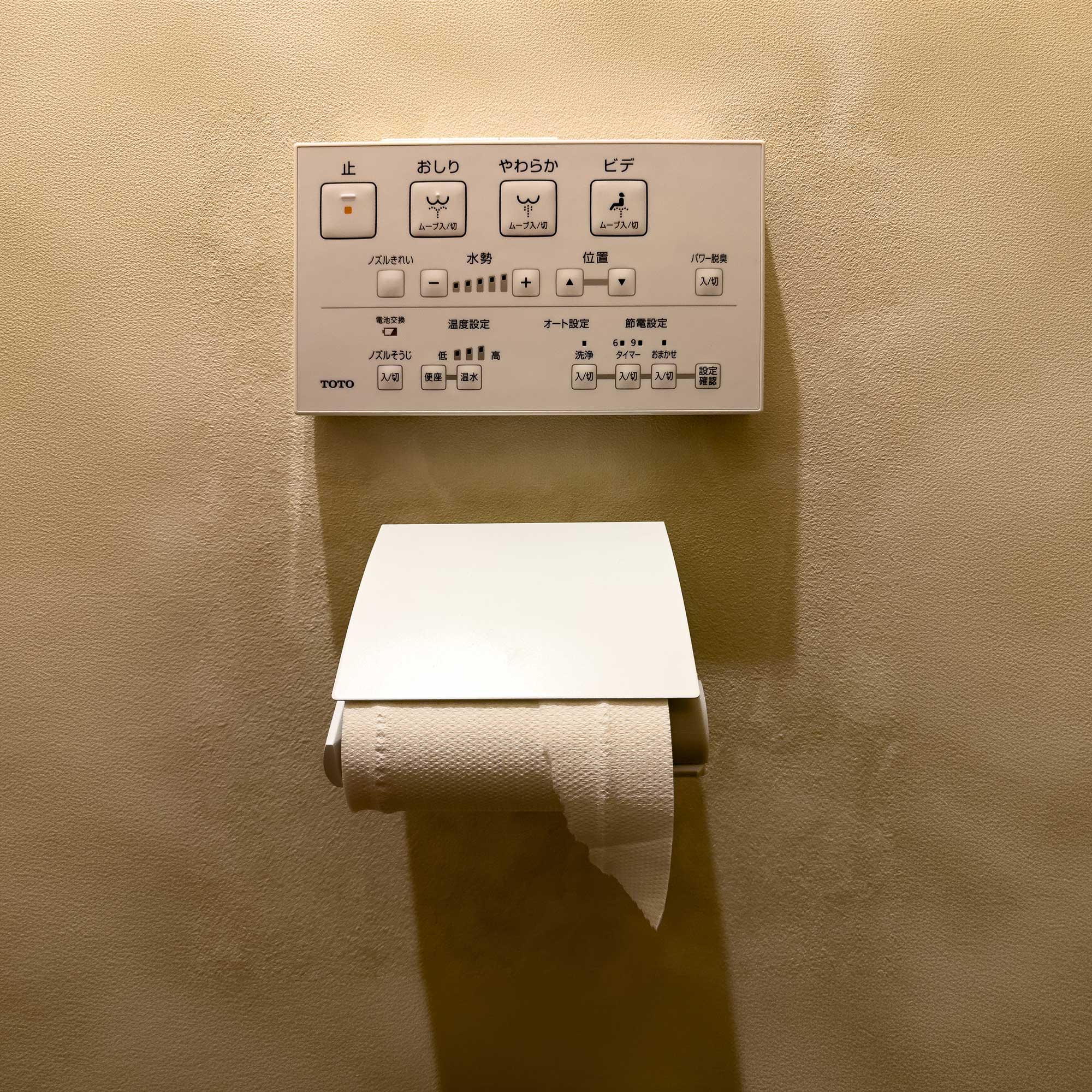 Japanese Toilet Culture
